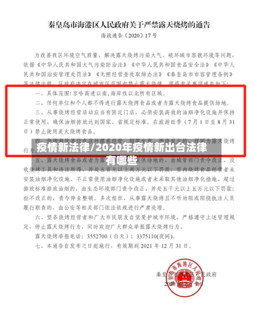 疫情新法律/2020年疫情新出台法律有哪些-第3张图片