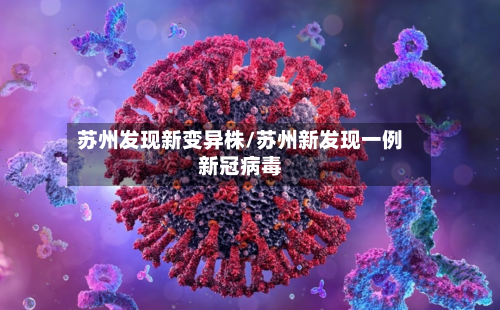 苏州发现新变异株/苏州新发现一例新冠病毒-第2张图片