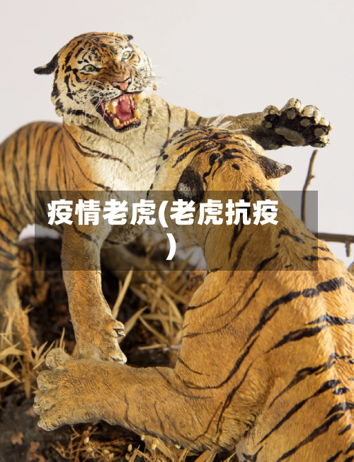 疫情老虎(老虎抗疫)-第1张图片