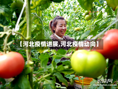 【河北疫情进展,河北疫情动向】-第1张图片