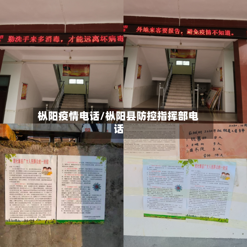 枞阳疫情电话/枞阳县防控指挥部电话-第2张图片