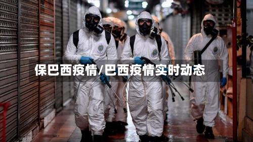 保巴西疫情/巴西疫情实时动态-第1张图片