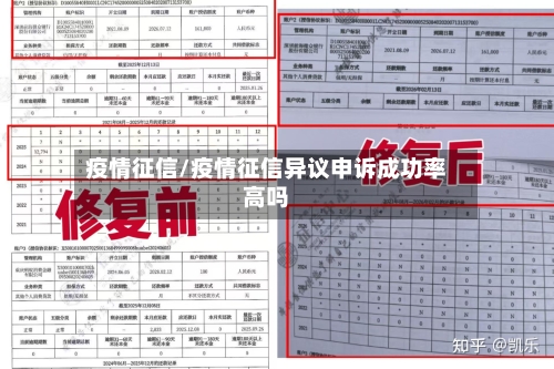 疫情征信/疫情征信异议申诉成功率高吗-第2张图片