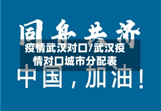 疫情武汉对口/武汉疫情对口城市分配表-第3张图片