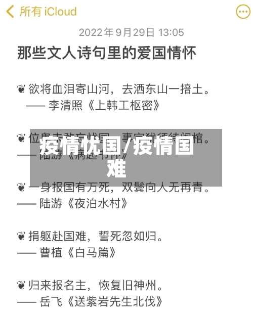 疫情忧国/疫情国难-第2张图片