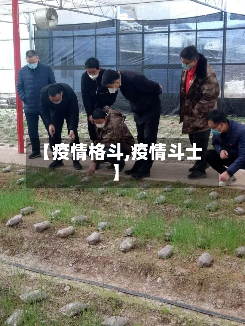 【疫情格斗,疫情斗士】-第1张图片