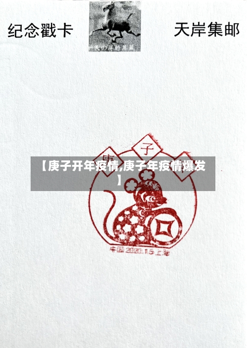 【庚子开年疫情,庚子年疫情爆发】-第2张图片