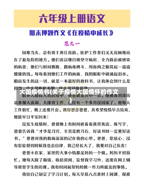 大国疫情书(关于疫情大国情怀的作文)-第2张图片