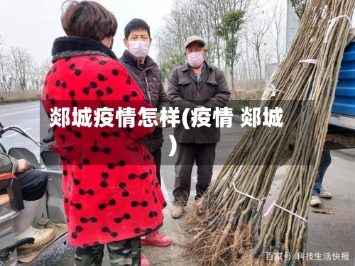 郯城疫情怎样(疫情 郯城)-第1张图片