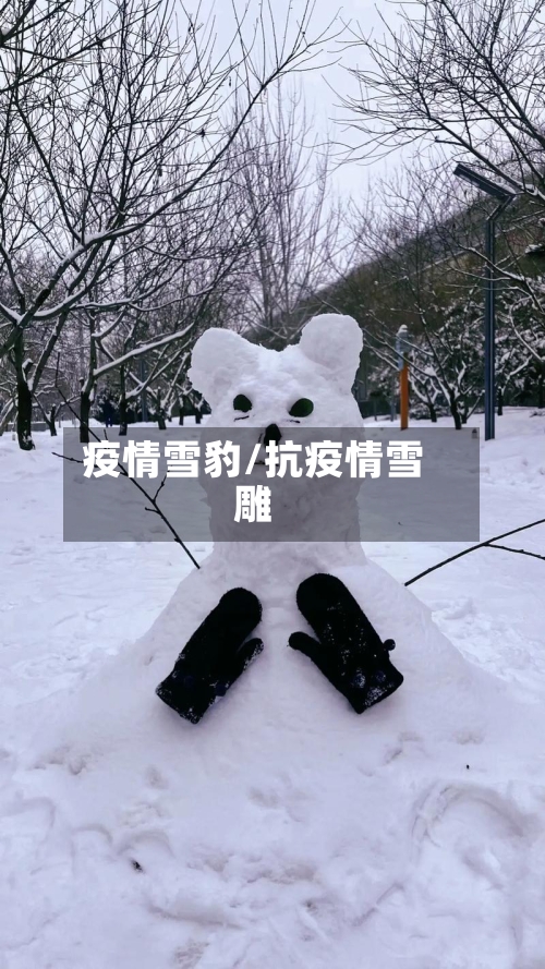疫情雪豹/抗疫情雪雕-第1张图片