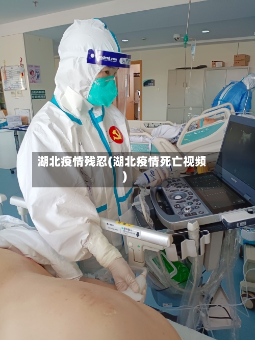 湖北疫情残忍(湖北疫情死亡视频)-第2张图片