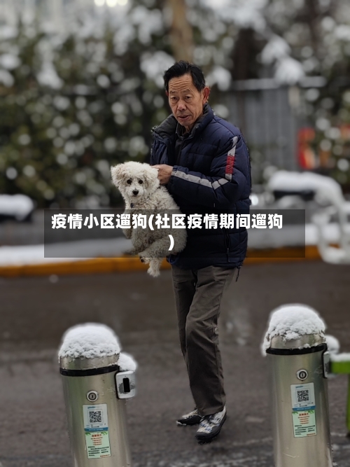 疫情小区遛狗(社区疫情期间遛狗)-第1张图片