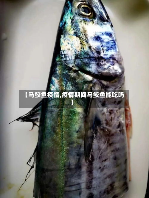 【马鲛鱼疫情,疫情期间马鲛鱼能吃吗】-第3张图片