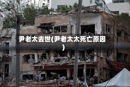 尹老太去世(尹老太太死亡原因)-第3张图片