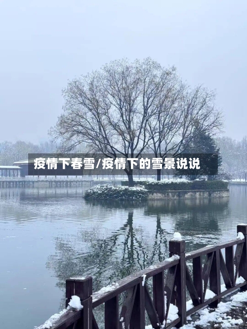 疫情下春雪/疫情下的雪景说说-第1张图片