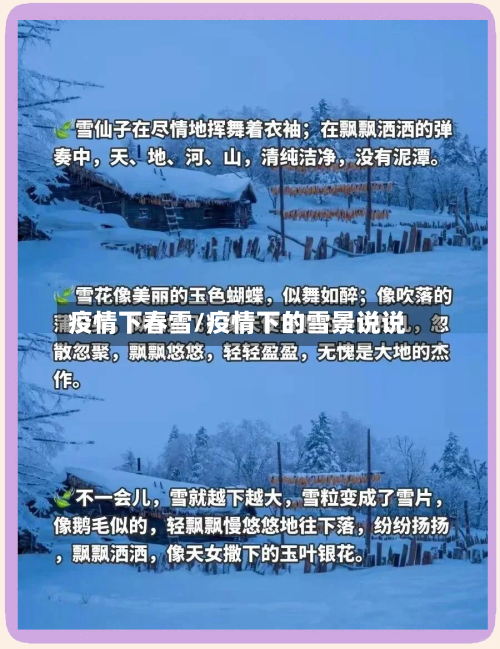 疫情下春雪/疫情下的雪景说说-第3张图片