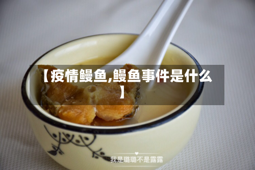 【疫情鳗鱼,鳗鱼事件是什么】-第1张图片