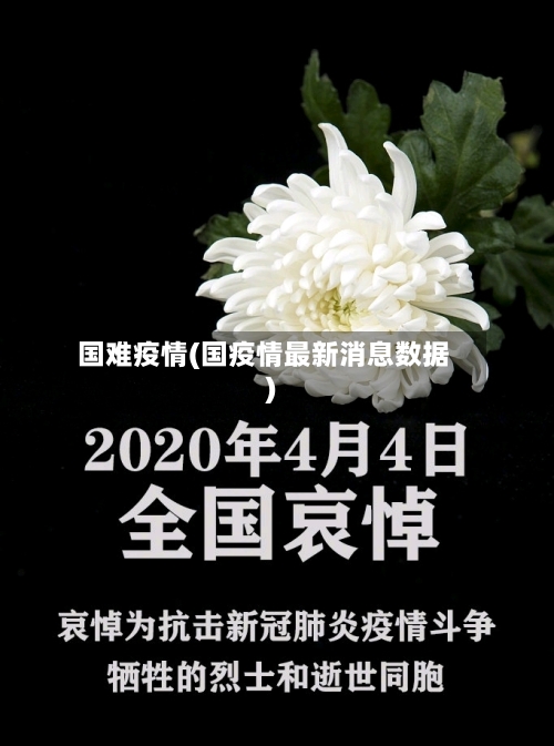 国难疫情(国疫情最新消息数据)-第3张图片
