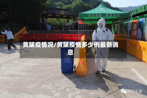 黄陂疫情况/黄陂疫情多少例最新消息-第2张图片