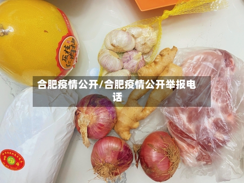 合肥疫情公开/合肥疫情公开举报电话-第1张图片