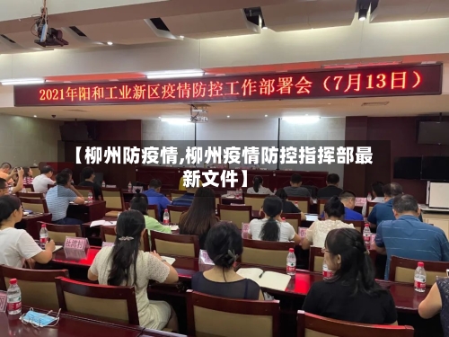 【柳州防疫情,柳州疫情防控指挥部最新文件】-第2张图片