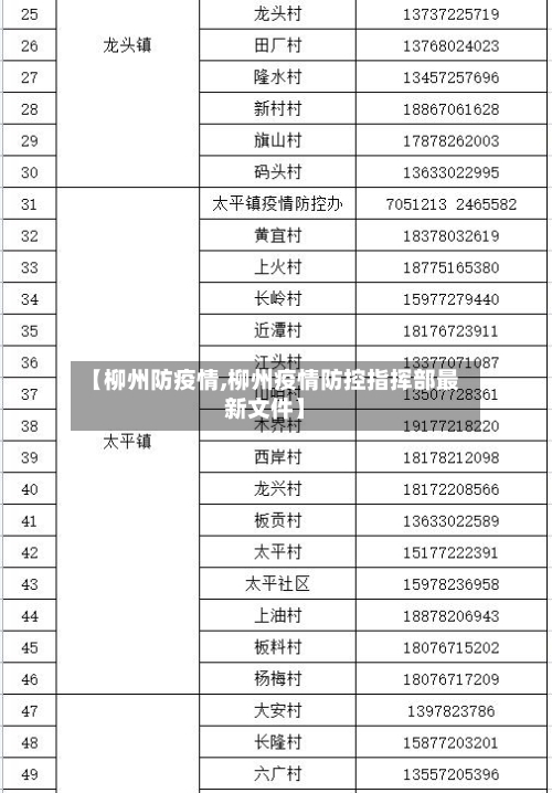 【柳州防疫情,柳州疫情防控指挥部最新文件】-第1张图片