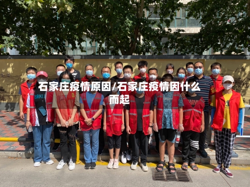 石家庄疫情原因/石家庄疫情因什么而起-第2张图片