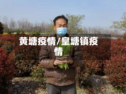 黄塘疫情/皇塘镇疫情-第1张图片