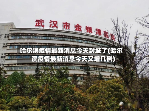 哈尔滨疫情最新消息今天封城了(哈尔滨疫情最新消息今天又增几例)-第1张图片