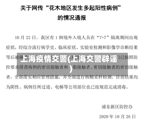 上海疫情交警(上海交警辟谣)-第3张图片