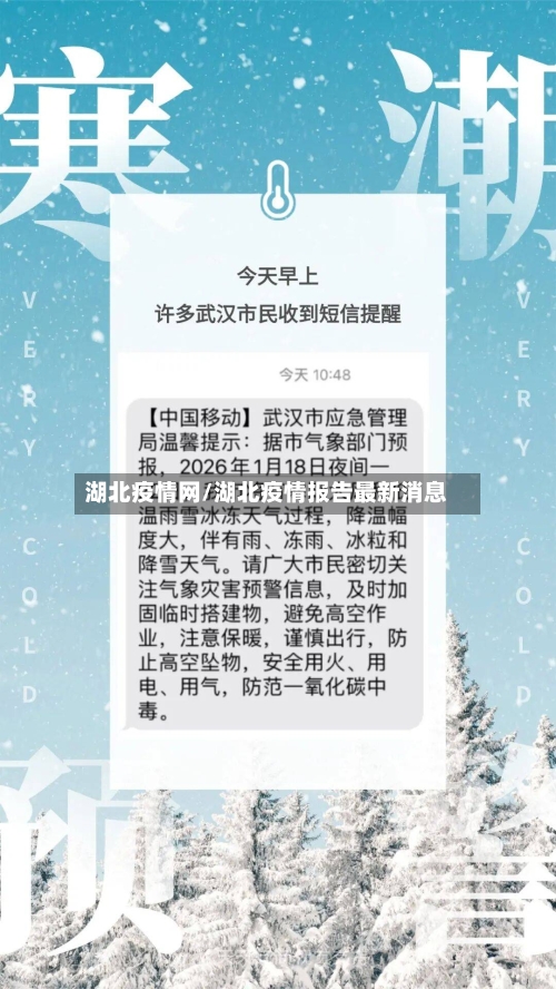 湖北疫情网/湖北疫情报告最新消息-第3张图片