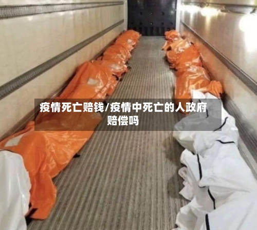 疫情死亡赔钱/疫情中死亡的人政府赔偿吗-第3张图片