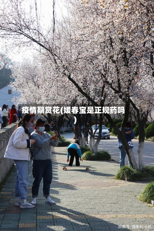 疫情期赏花(媛春宝是正规药吗)-第2张图片