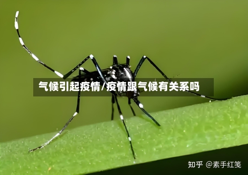 气候引起疫情/疫情跟气候有关系吗-第1张图片