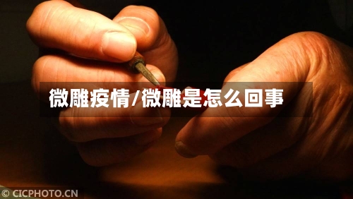 微雕疫情/微雕是怎么回事-第2张图片