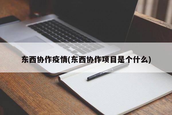 东西协作疫情(东西协作项目是个什么)